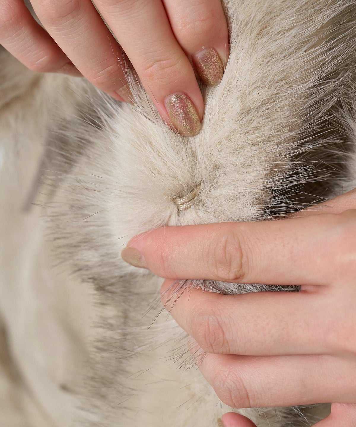 アウター/コート/フェイクファー/スエード