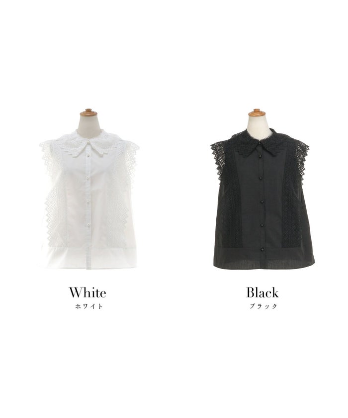 襟付レースコンビブラウスPrimaScherrer全2色｜psc821-0948【1】