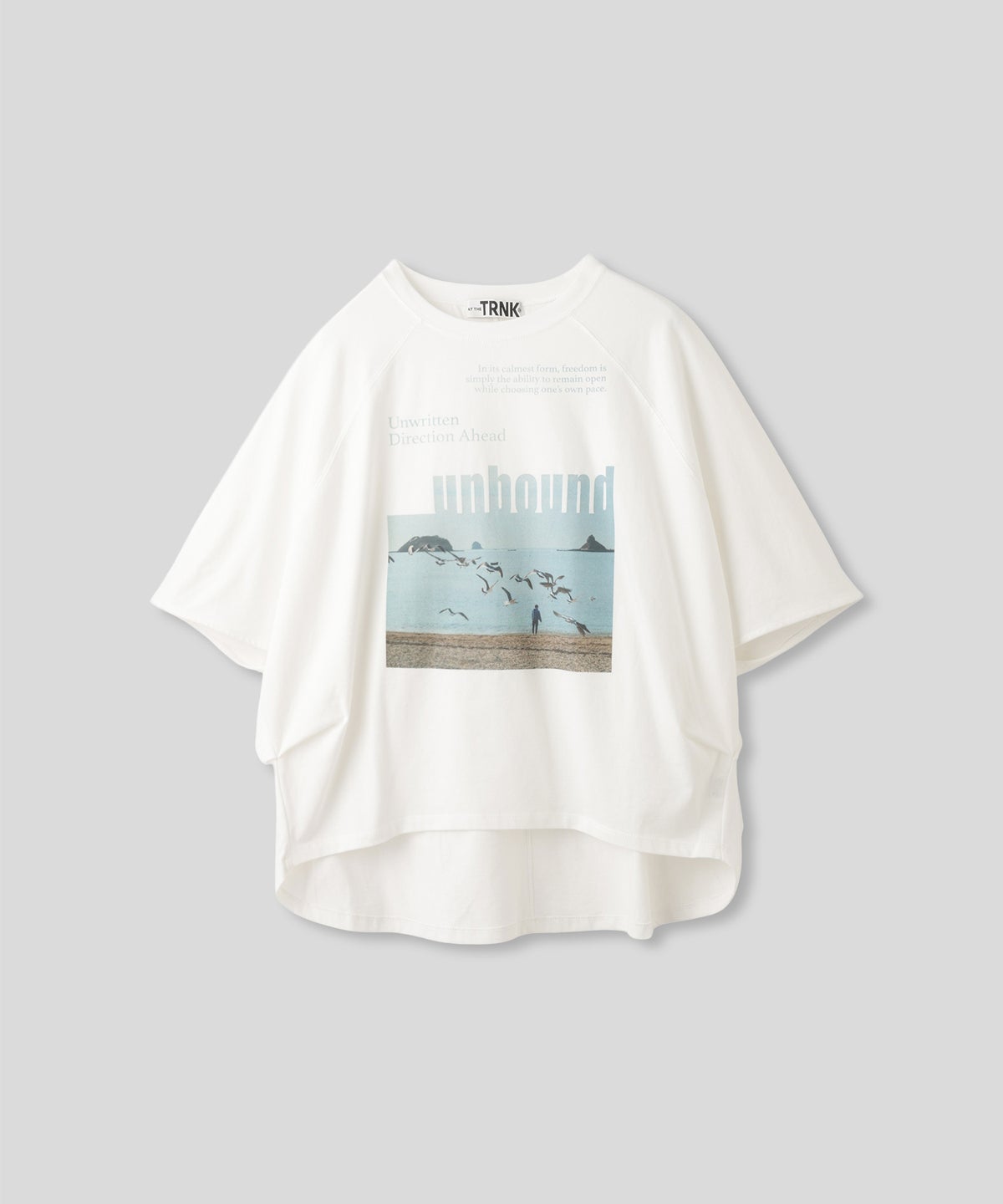 ホワイト チャコール ベージュ Tシャツ フォトプリント ビッグシルエット ウォッシャブル フリーサイズ ビックシルエットフォトＴ AT THE TRNK
