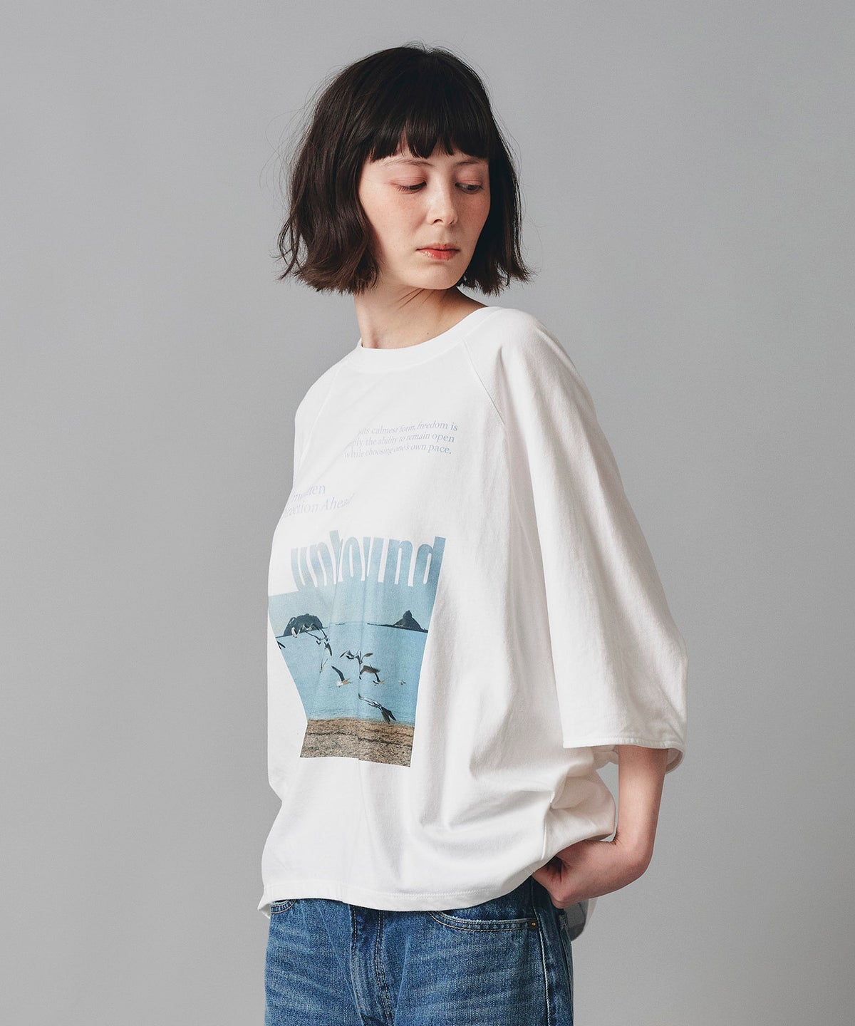 ホワイト チャコール ベージュ Tシャツ フォトプリント ビッグシルエット ウォッシャブル フリーサイズ ビックシルエットフォトＴ AT THE TRNK