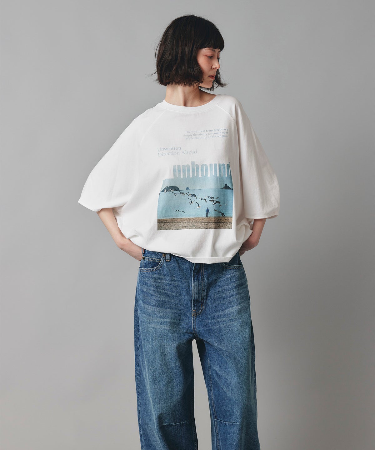 ホワイト チャコール ベージュ Tシャツ フォトプリント ビッグシルエット ウォッシャブル フリーサイズ ビックシルエットフォトＴ AT THE TRNK